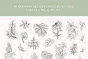 Greenery Sketchbook Illustrations, a Decorative Illustration by Emma Webb Studio (Thumbnail 3 of 7)
