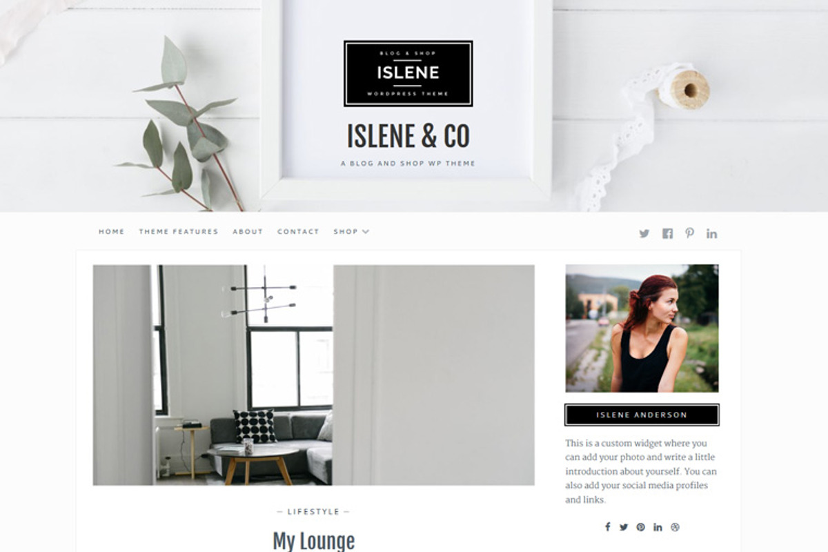 Islene / Blog & eCommerce Theme, a WordPress Template by AlienWP (Photo 3 of 4)