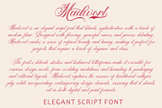 Madwort - Elegant Script Font, a Script Font by Arendxstudio (Thumbnail 7 of 12)