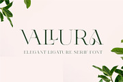 Vallura - Serif Display Font, a Sans Serif Font by Vesvocrea (Thumbnail 1 of 9)