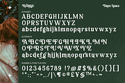 Rodrego Elegant Retro, a Sans Serif Font by Haps Space (Thumbnail 9 of 10)