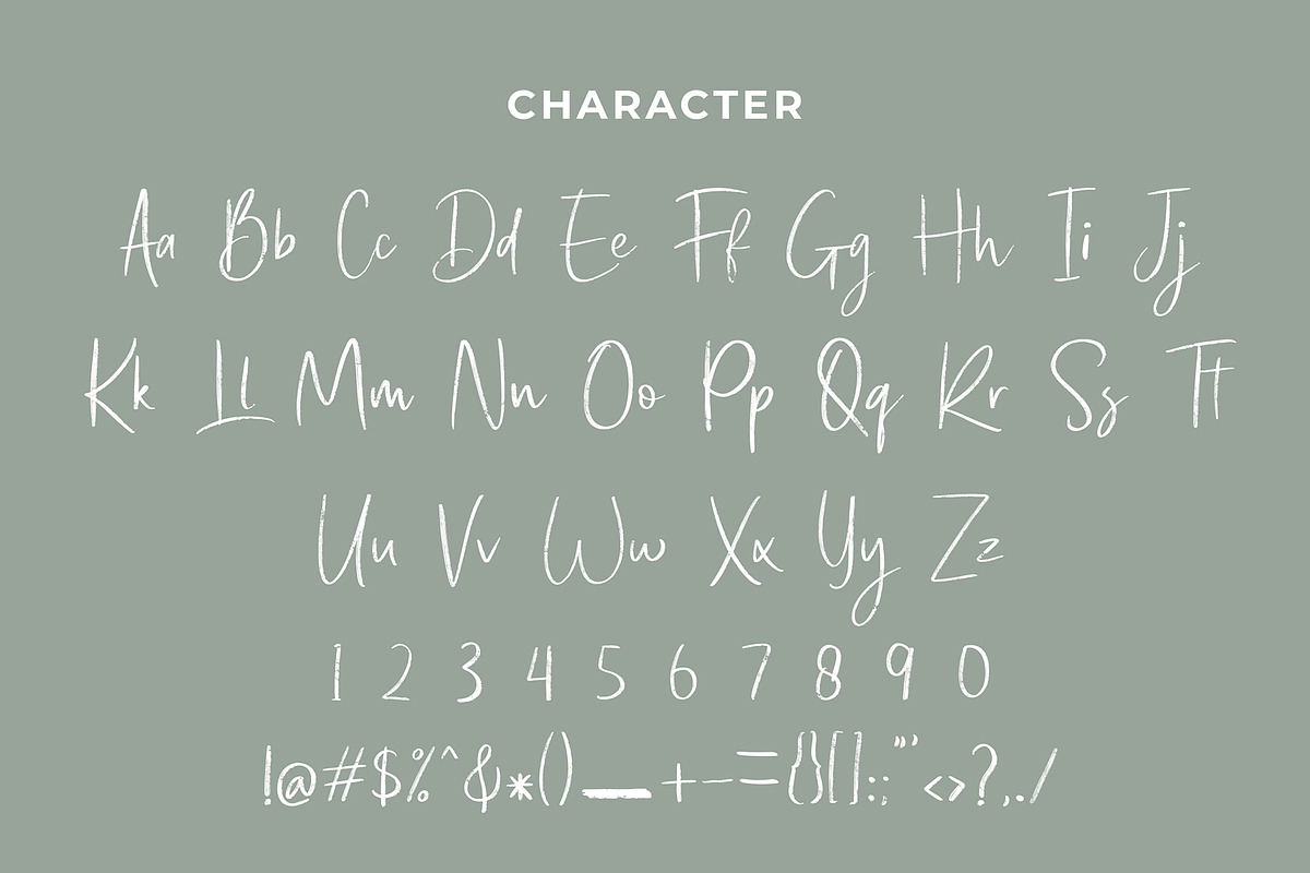 Black Shine Script Brush Font preview 6