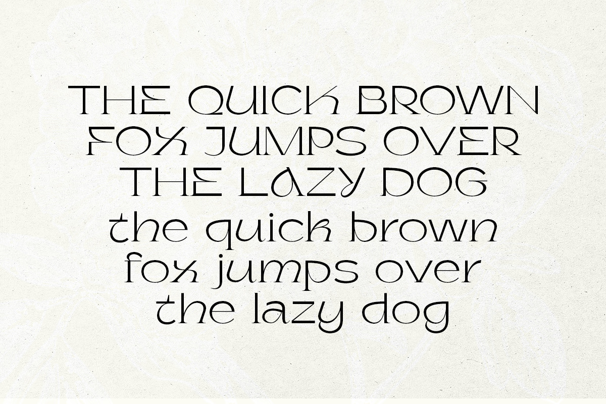 Yorkane - Stylish Half Serif, a Serif Font by Sarid Ezra (Photo 9 of 11)