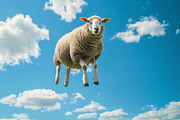 116 Flying animals, an Animal Photo by Handmadefont (Thumbnail 109 of 119)
