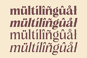 Delarosa - A Decorative Serif, a Serif Font by agnyhasyastudio (Thumbnail 10 of 17)
