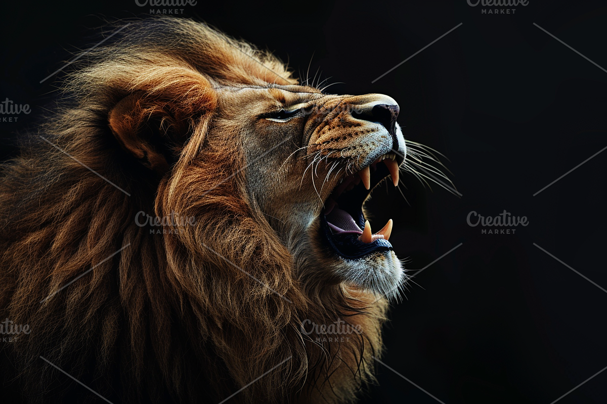Animals Pack Over 100 UltraHD images, an Animal Photo by Pixels.Craft (Photo 2 of 8)