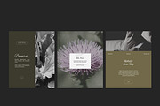 Herbalist Carousel Post Templates, a Social Media Template by Terraa Studio Design (Thumbnail 3 of 9)