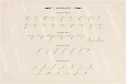 Mollani Nature Script, a Script Font by alit design (Thumbnail 13 of 20)