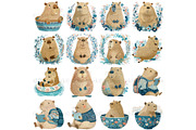 Cute Capybara Clipart Watercolor, an Animal Illustration by Nicole Branger Art (Thumbnail 8 of 21)