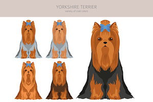 Yorkshire Terrier Clipart