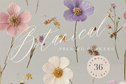 Pressed Flowers (Png) HELLO SPRING, a Background Graphic by by creative paper (Thumbnail 1 of 13)