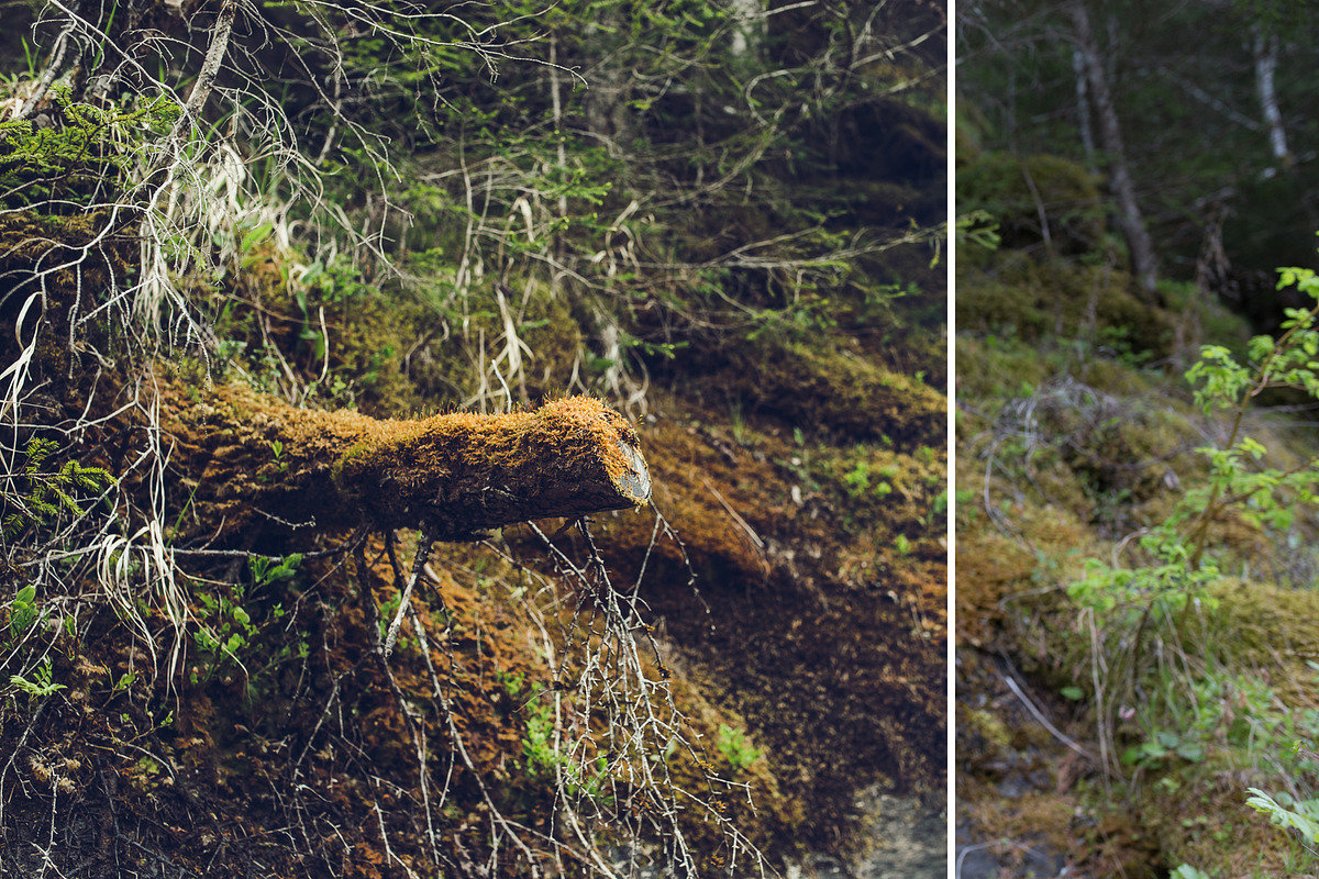 MILLION OF GREEN-Set of 20presets Lr, an Action Add-On by Graphics, Presets, Photos (Photo 16 of 21)