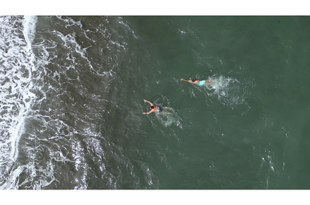 Top view of people swimming in blue, a Nature Photo by Media Whale Stock