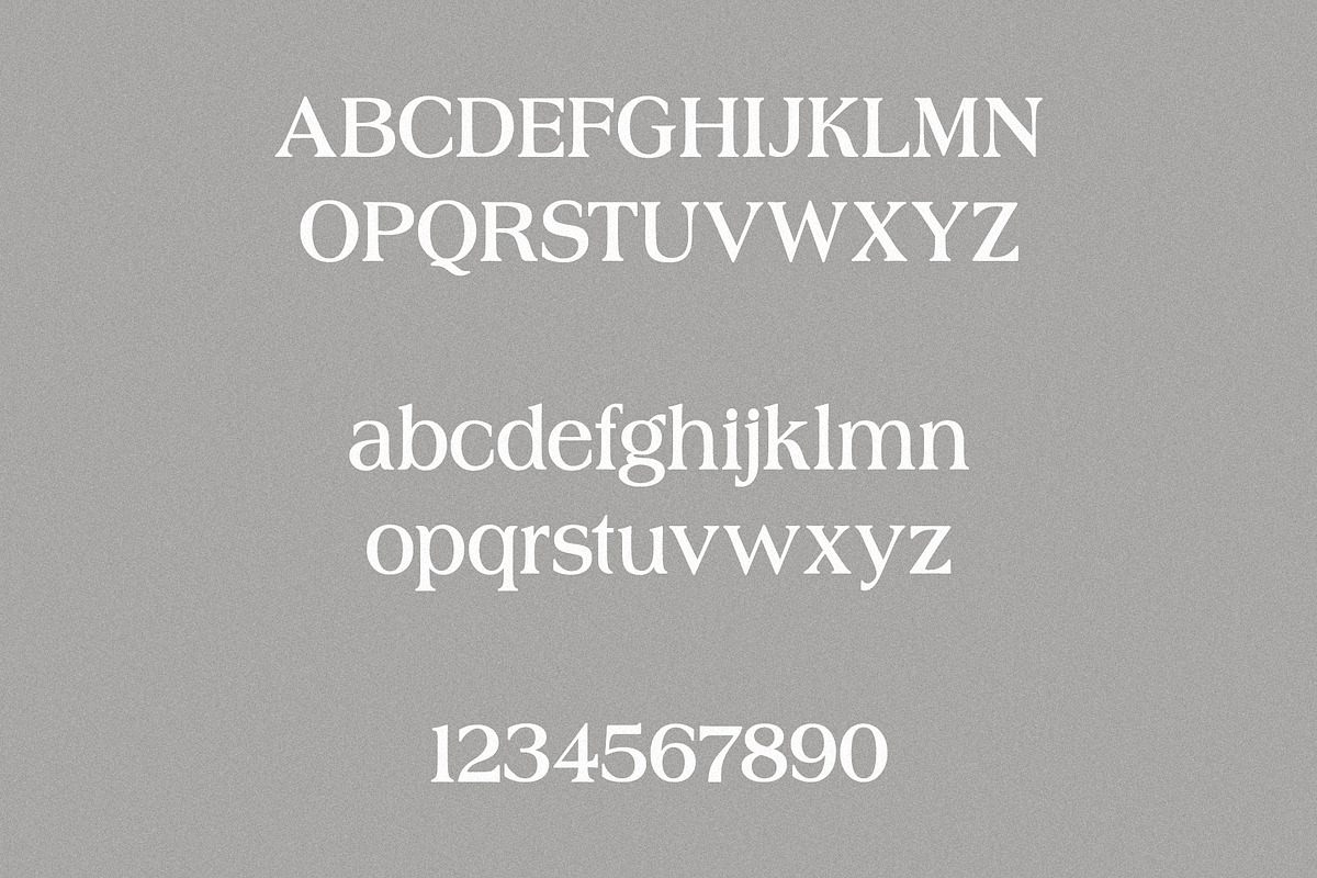 stardust - classical & vintage serif, a Serif Font by Mikhail Kitsune (Photo 7 of 8)