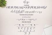 Shania sweet calligraphy, a Script Font by Teweka (Thumbnail 8 of 14)