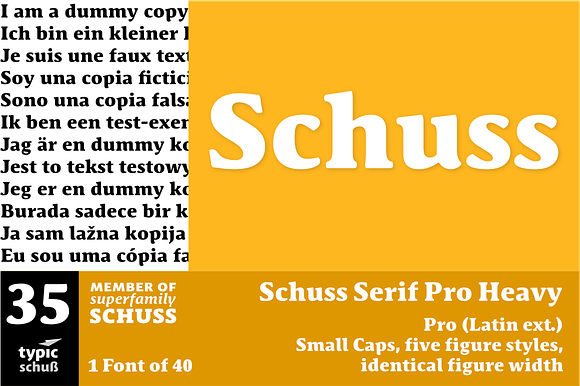 SchussSerifProHeavy No.35 (1 Font) preview 6