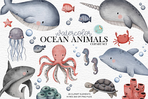 Ocean Animals