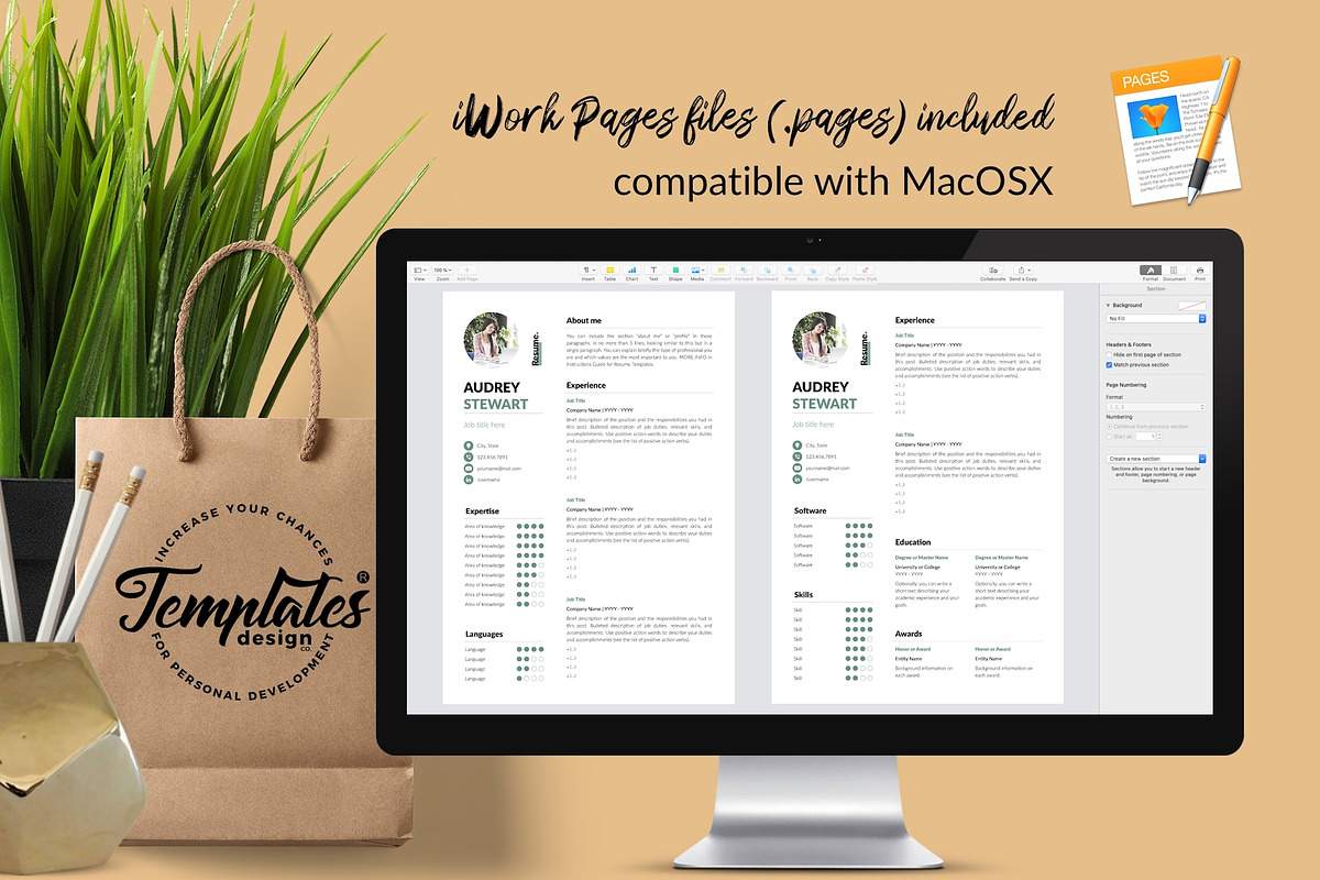 Modern CV Bundle / Resume - Audrey, a Resume Template by Templates Design Co. (Photo 10 of 17)