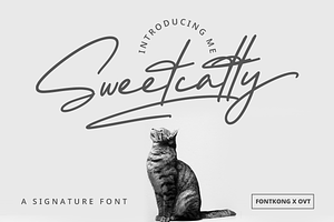 Sweetcatty - A Signature Font