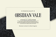 Gzonga - Retro Charm Serif, a Serif Font by Pandeka Studio (Thumbnail 3 of 9)