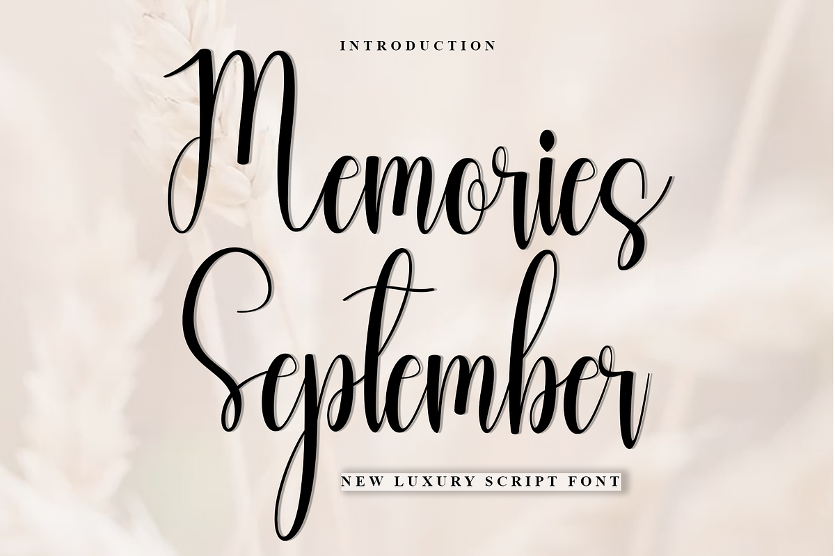 Memories September, a Handwritten Font by InermediaSTUDIO (Photo 1 of 8)
