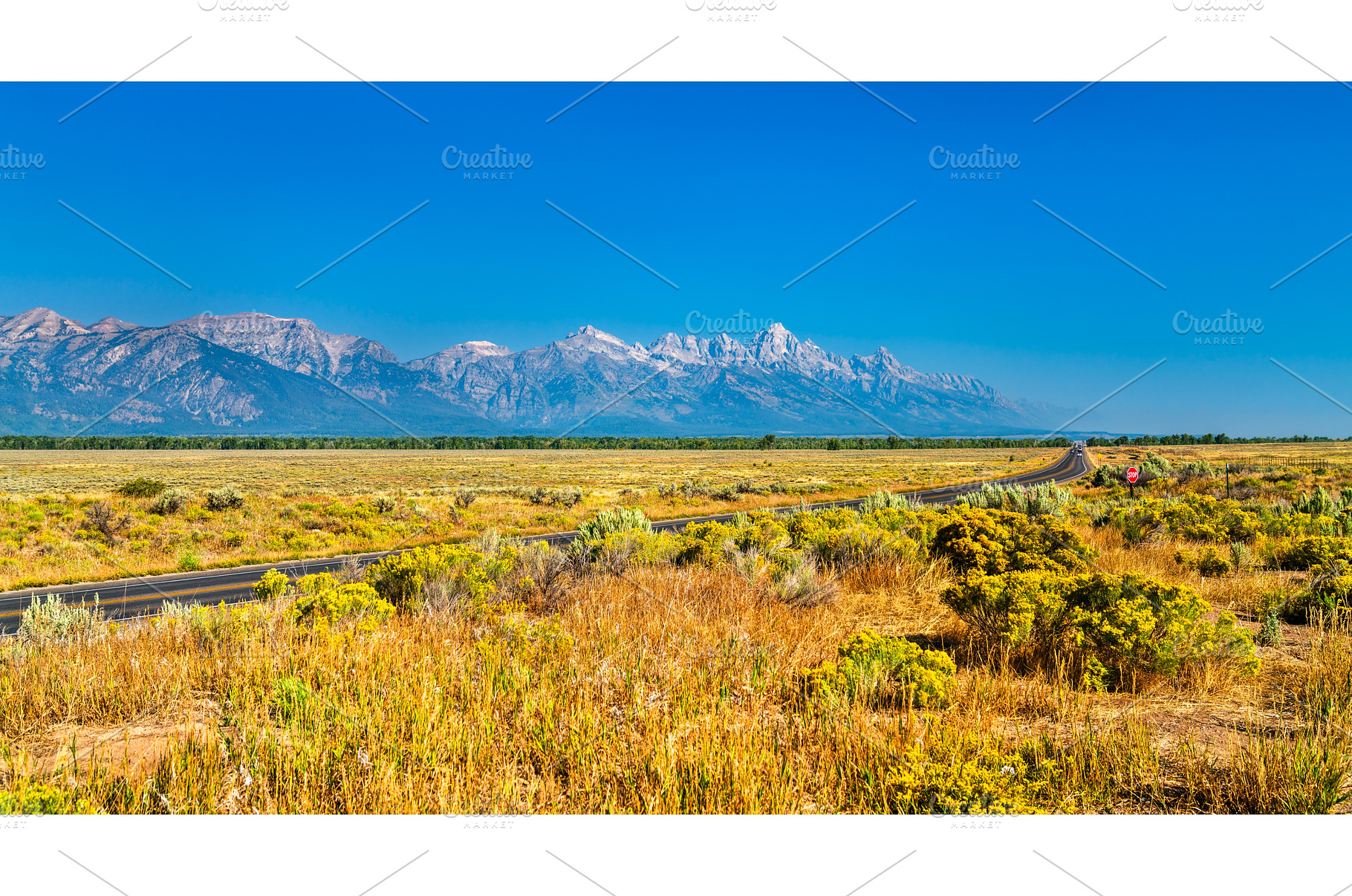 Grand Teton mountains and valley, a Nature Photo by Leonid Andronov