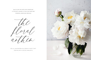 Bella Luna Feminine Script Font