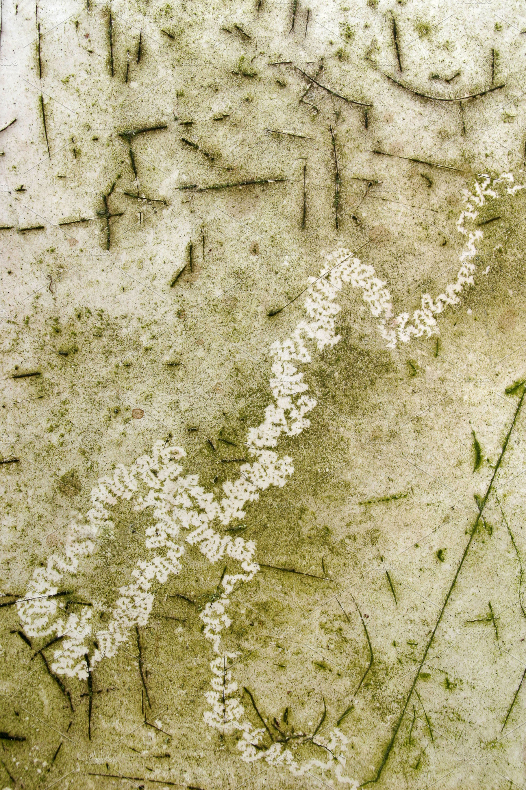 dirty surface with worm trace, a Photo by saiko3p