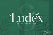 Beezle Modern Serif Font, a Serif Font by Idea Studio (Thumbnail 3 of 10)