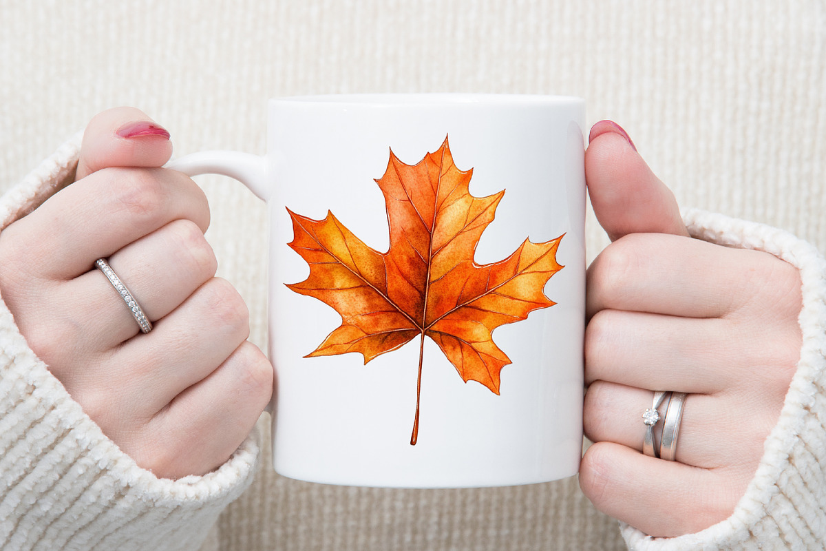 Hand-drawn Autumn Clipart, an Illustration by Sublimation Artist (Photo 5 of 6)