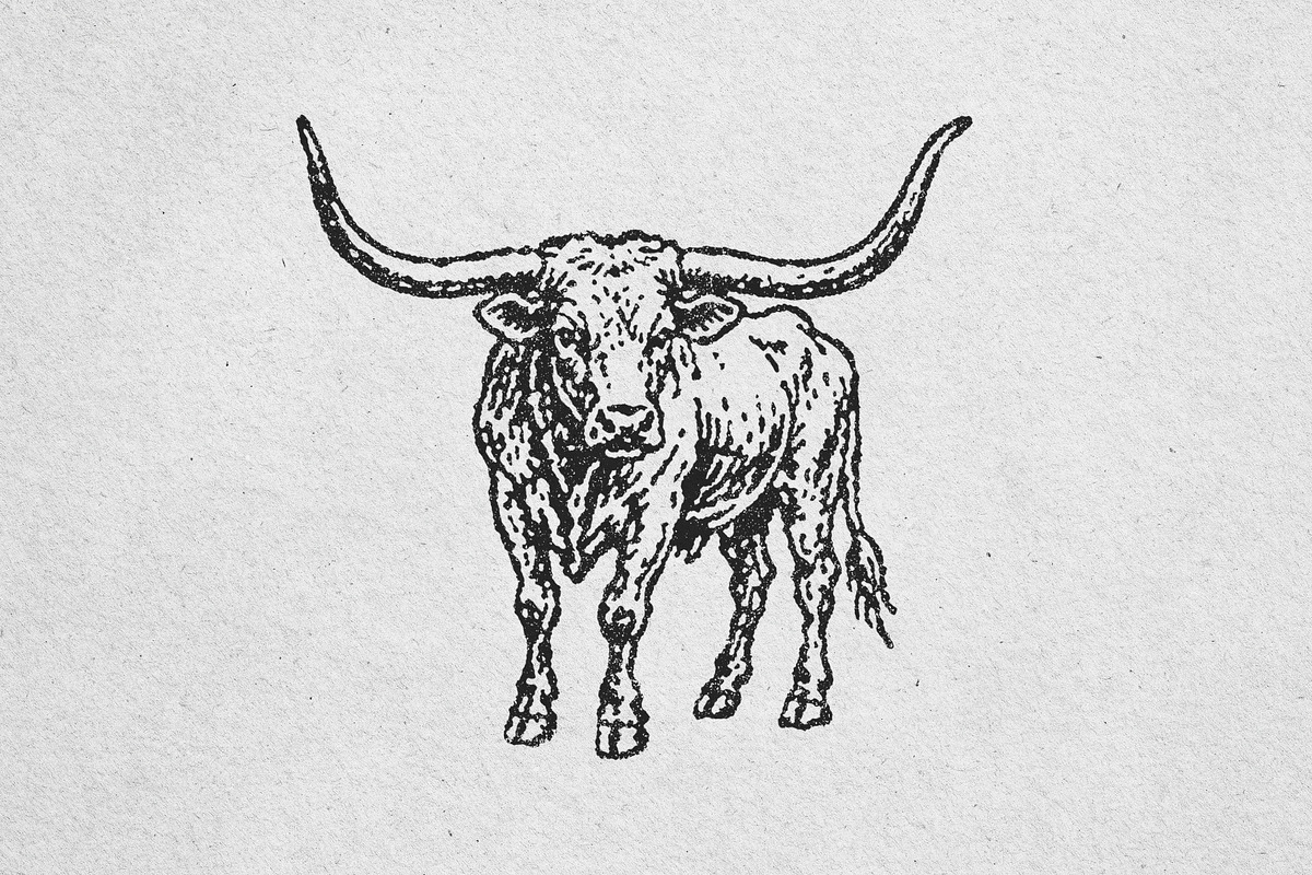 Vintage Longhorn Bull Illustration, an Animal Illustration by lettett (Photo 3 of 3)