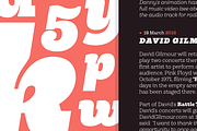 Hernández Niu, a Slab Serif Font by Latinotype (Thumbnail 12 of 17)
