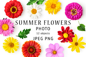 Summer flower heads. Design elements