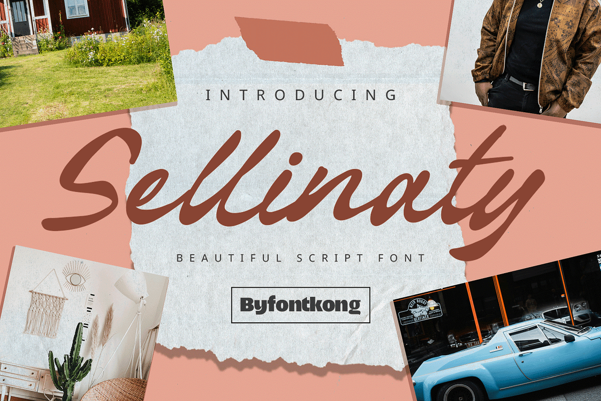 Sellinaty - Beautiful Script Font, a Script Font by overlaytemplates (Photo 1 of 5)