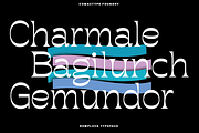 Rompluck - A Display Typeface, a Serif Font by Comactype Foundry (Thumbnail 11 of 20)