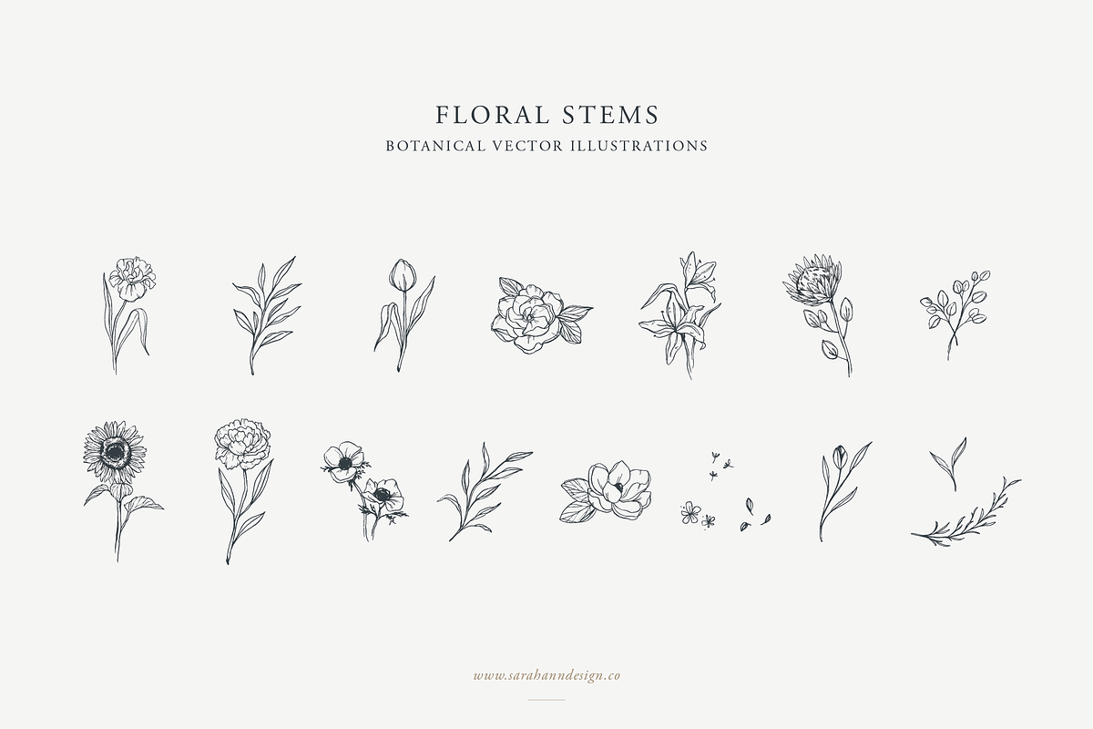 Floral Stems: Botanical Illustration, an Illustration by Sarah Ann Design (Photo 1 of 7)