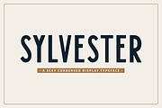 Sylvester Typeface, a Sans Serif Font by Millieangelo (Thumbnail 1 of 5)