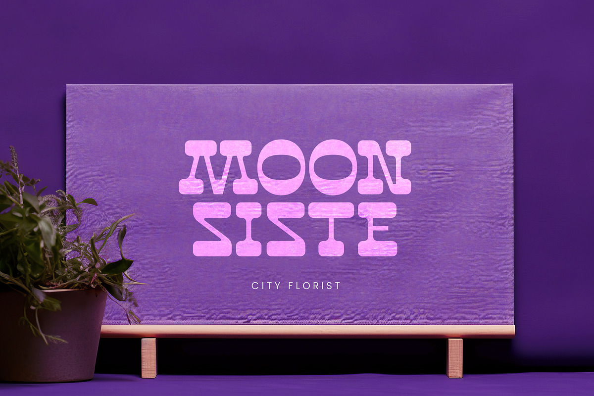 Disco Groov Retro Playful Serif, a Serif Font by timelesstype.co (Photo 15 of 20)