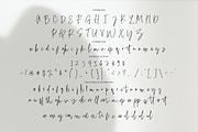 Dolce Miele - Casual Signature, a Font by tebaltipislab (Thumbnail 8 of 10)