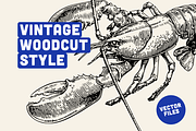 25 Marine Animal Illustrations, an Animal Illustration by Vectorian (Thumbnail 4 of 5)