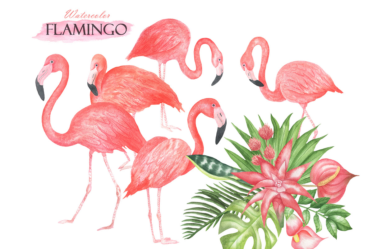Watercolor Pink Flamingo, an Illustration by OlDm_Shop (Photo 4 of 6)