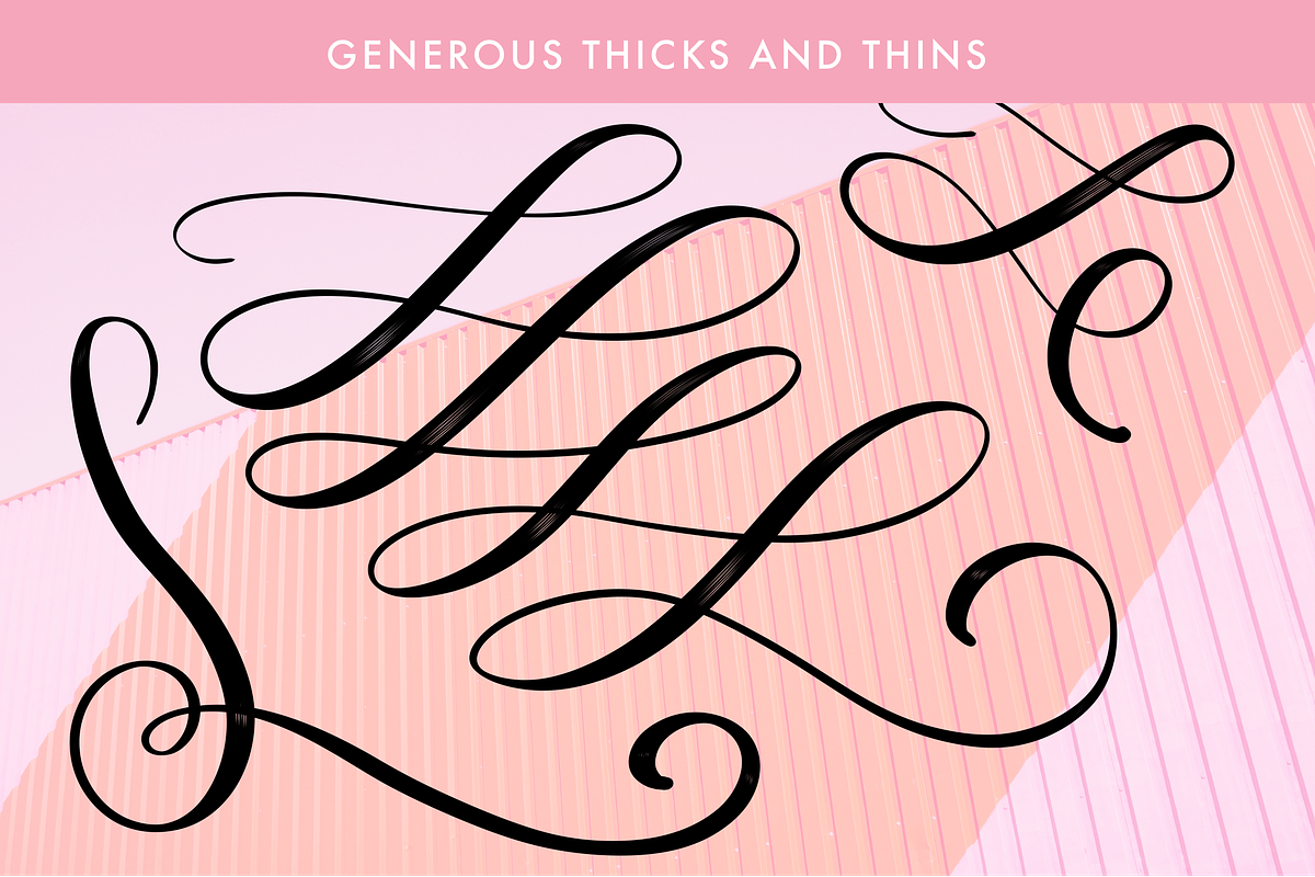 Rosie - Procreate Lettering Brush preview 2
