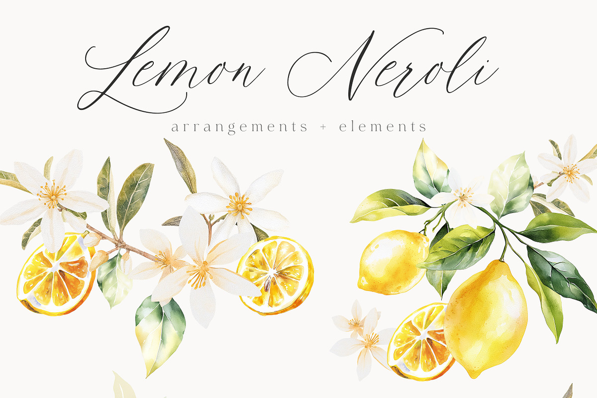 New! Timeless Library Edition, a Graphic by Isabelle Salem (Photo 74 of 211)