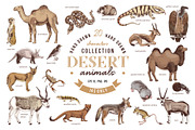 Desert animals collection, an Animal Illustration by handsketched (Thumbnail 1 of 9)