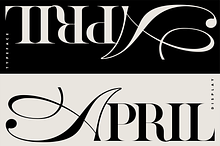 ZP APRIL - Luxury Hybrid Font