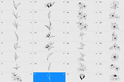 Garden flowers procreate brushes, a Brush Add-On by AnnaPolitmerskaja (Thumbnail 3 of 5)