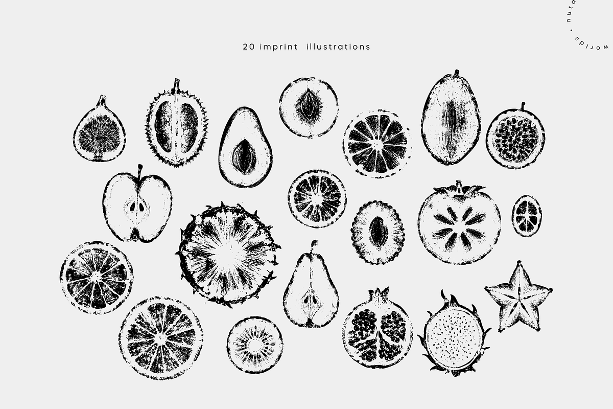Fruit Slice Imprints | Vector Pack, a Food Illustration by Nutalin Art (Photo 4 of 13)