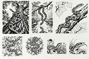 Snake Illustration Set, an Animal Illustration by DENIDigitalArtSudio (Thumbnail 4 of 8)