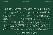 CS Rottage Pixel, a Serif Font by Craft Supply Co. (Thumbnail 8 of 8)