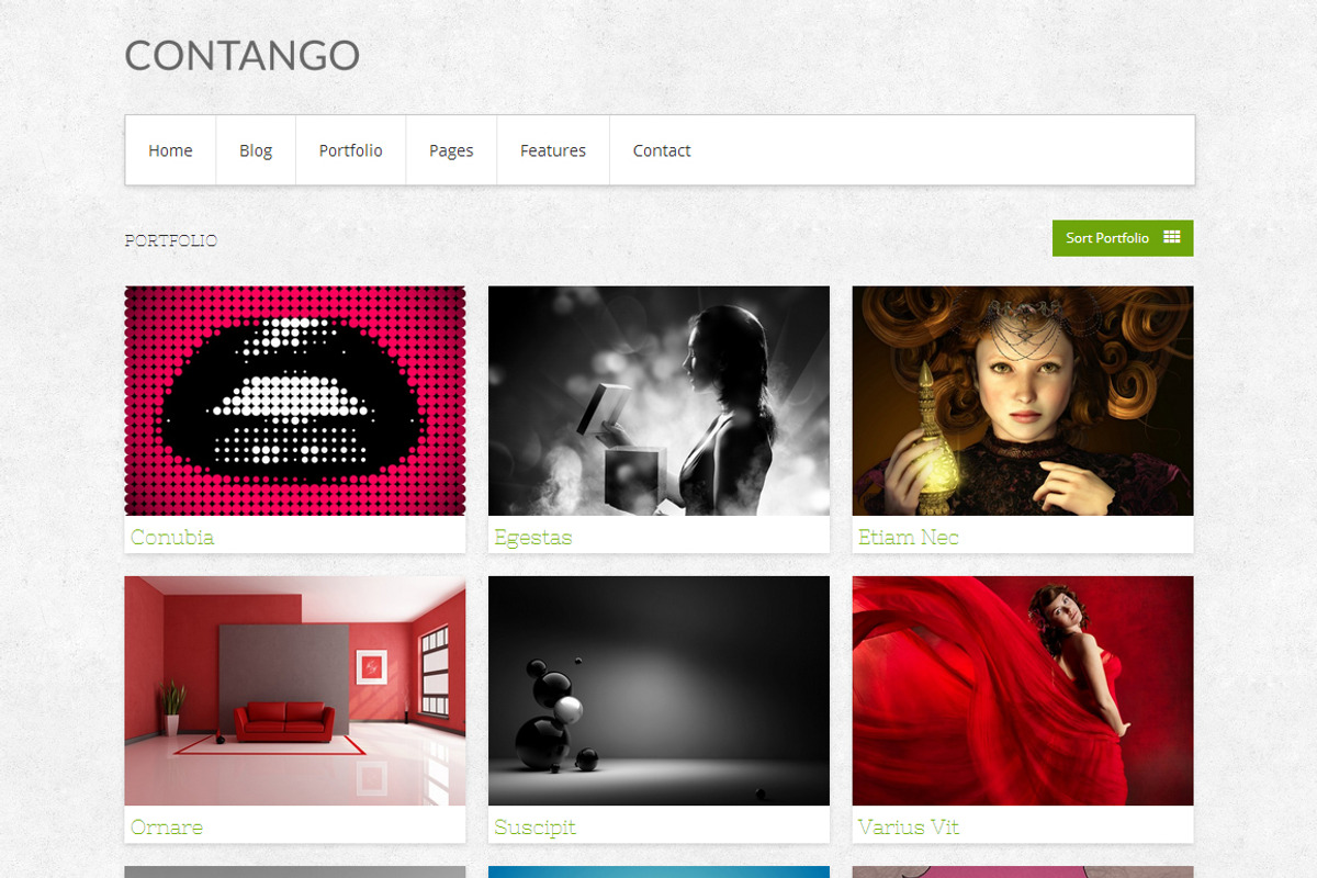 Contango WordPress Theme, a WordPress Template by DesignOrbital (Photo 2 of 5)